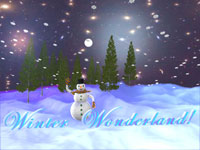Winter Wonderland 3-D Animation