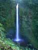 Akaka Falls-Hawaii