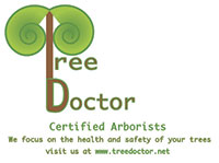 Tree Doctor Arborist Services Logo
