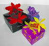 Decorative Folding Orchid Boxes
